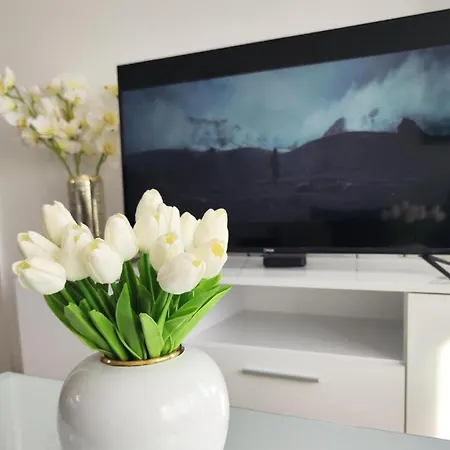 Todorovic Panorama Apartment