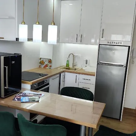 Apartment Todorovic Panorama *