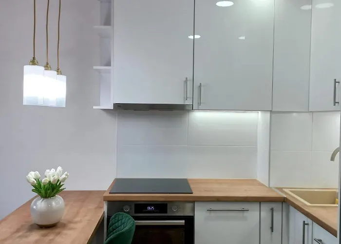 Todorovic Panorama Kragujevac