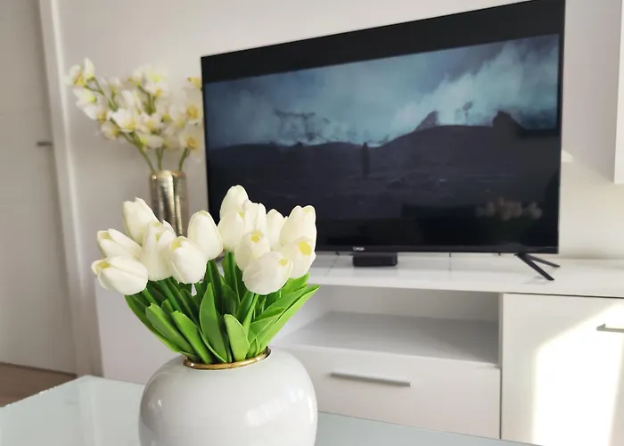 Apartment Todorovic Panorama